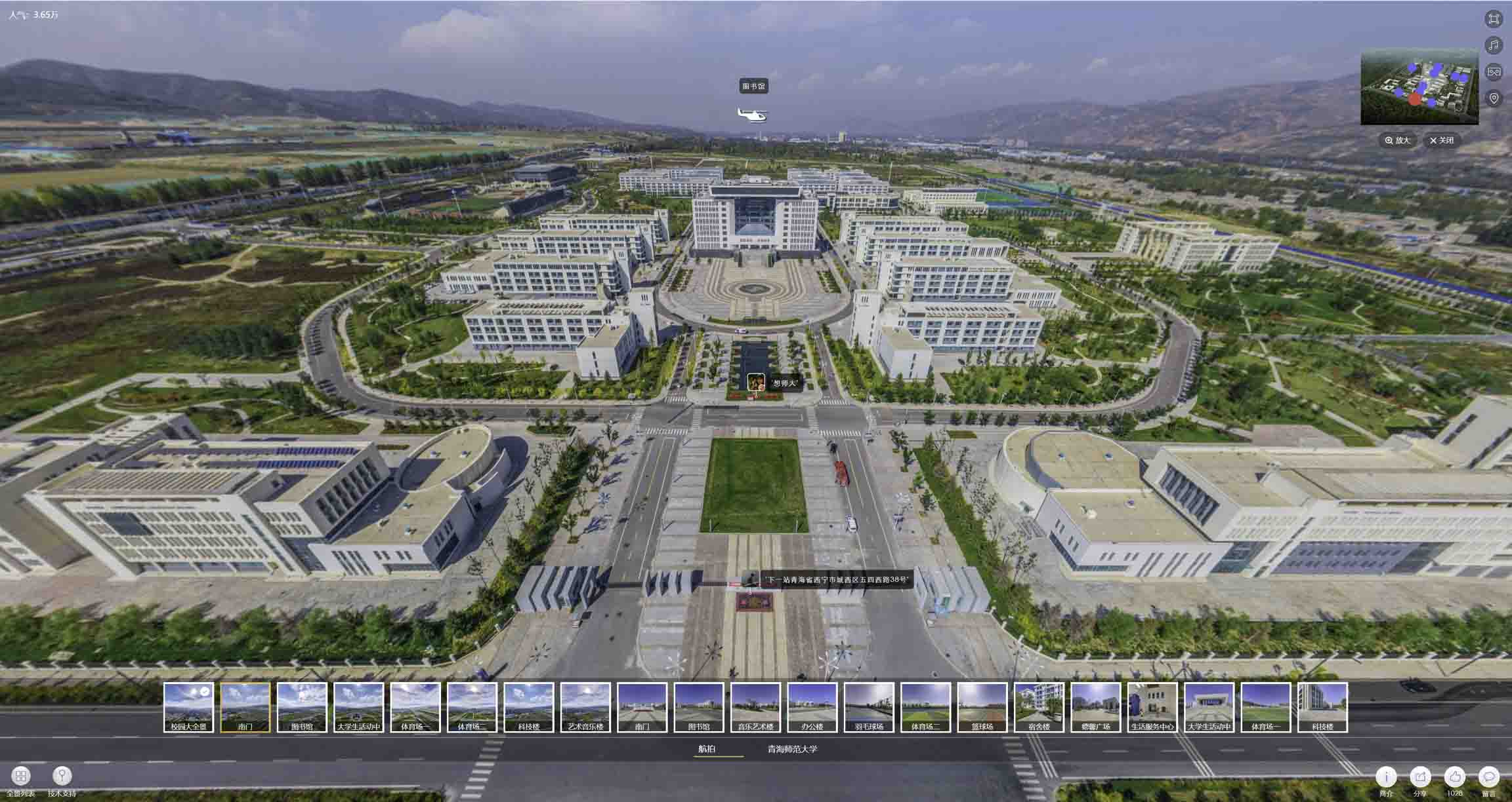 武功油菜花-惊艳半生的花海仙境